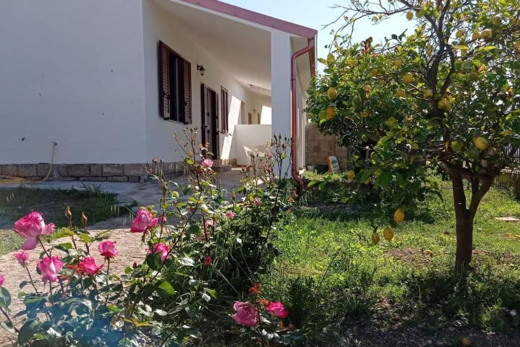 הוילה Villarios Casa Bellavista מראה חיצוני תמונה